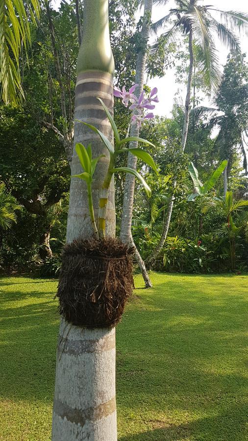 Good Karma Villa Bentota Bagian luar foto