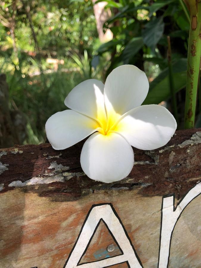 Good Karma Villa Bentota Bagian luar foto